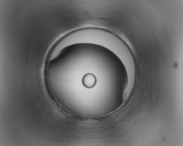 X0000116790387201001081318