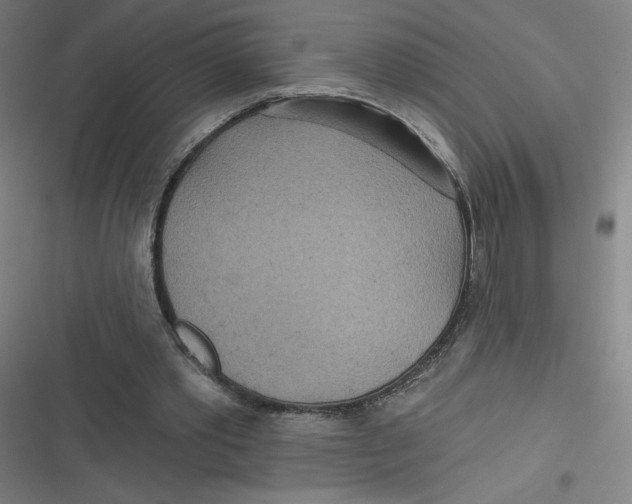 X0000116790389201001081318