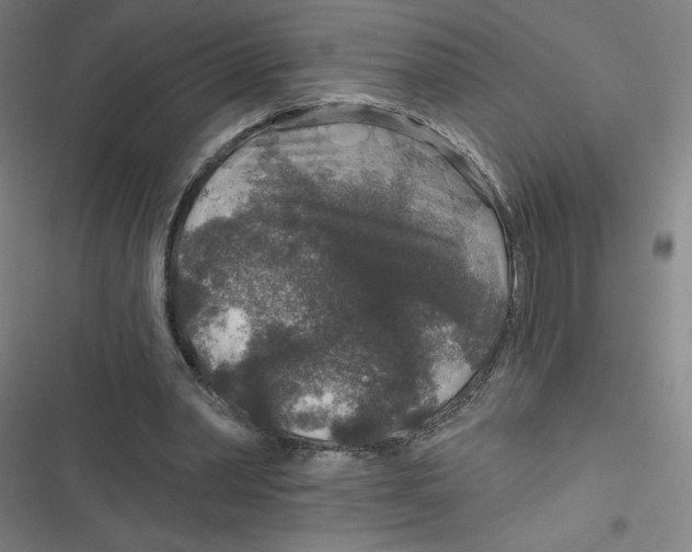 X0000116790390201001081318