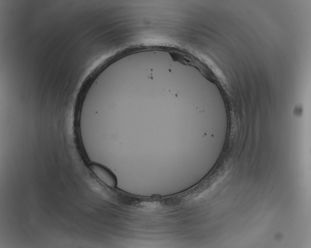 X0000116790391201001081318