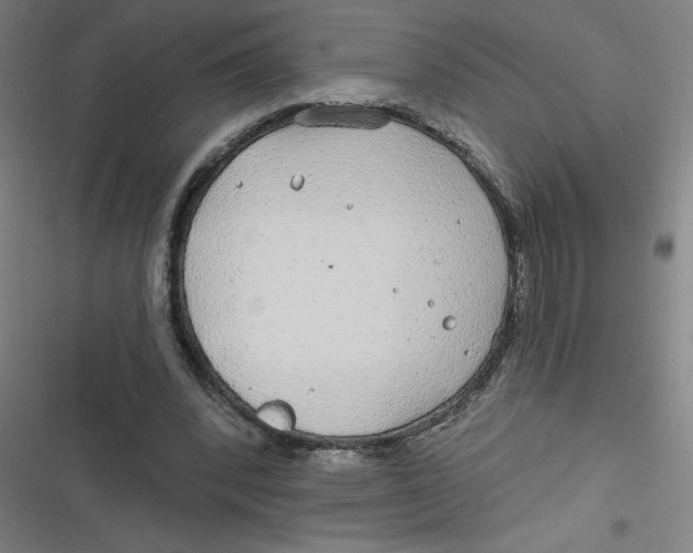 X0000116790392201001081318