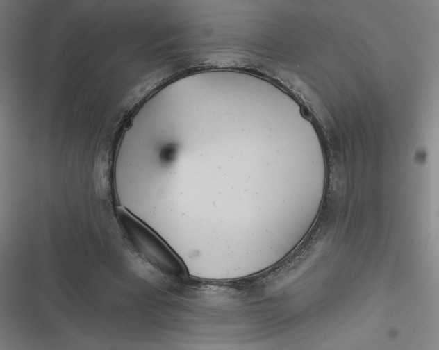 X0000116790393201001081318