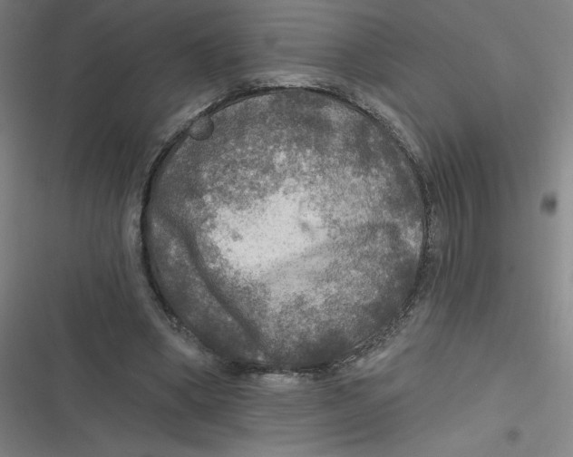 X0000116790394201001081318