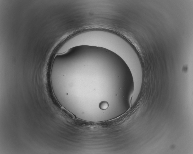 X0000116790395201001081318