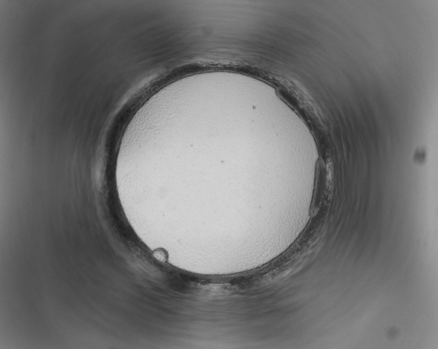 X0000116790396201001081318