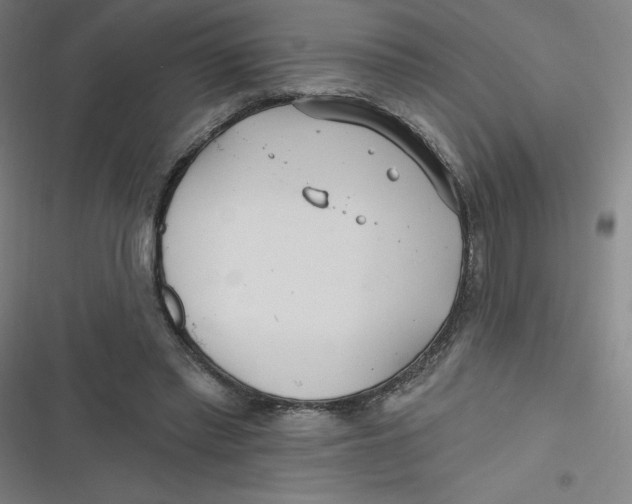 X0000116790397201001081318