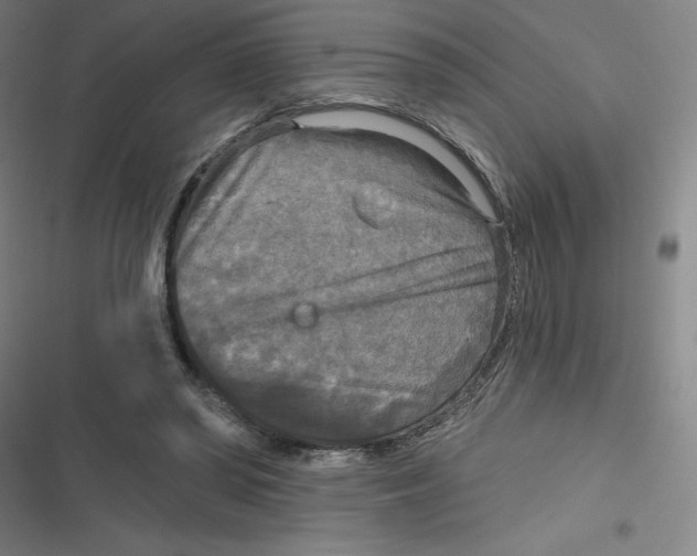 X0000116790398201001081318