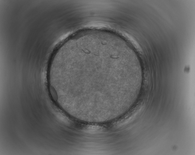 X0000116790399201001081318