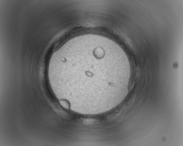 X0000116790400201001081318