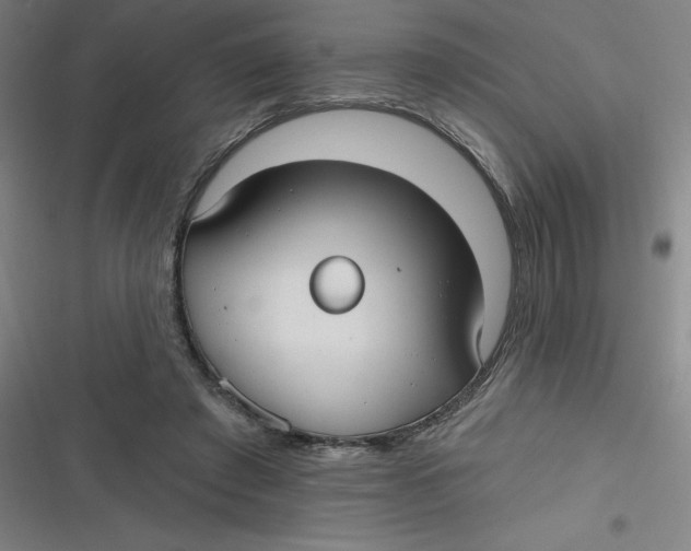 X0000116790401201001081318