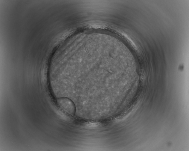 X0000116790402201001081318