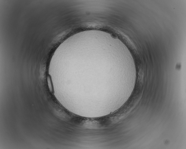 X0000116790403201001081318