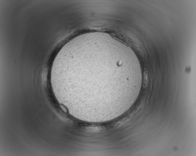 X0000116790404201001081318