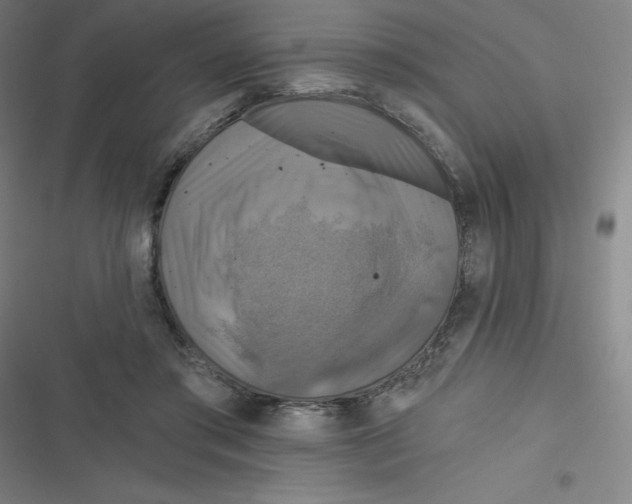 X0000116790405201001081318