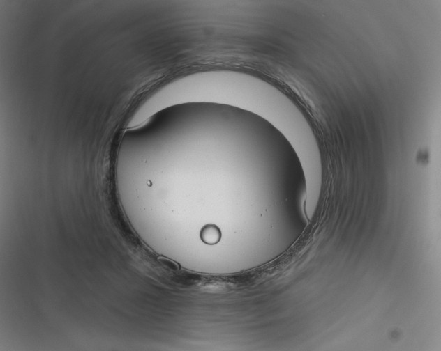 X0000116790407201001081318