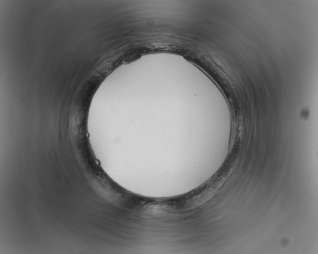 X0000116790408201001081318