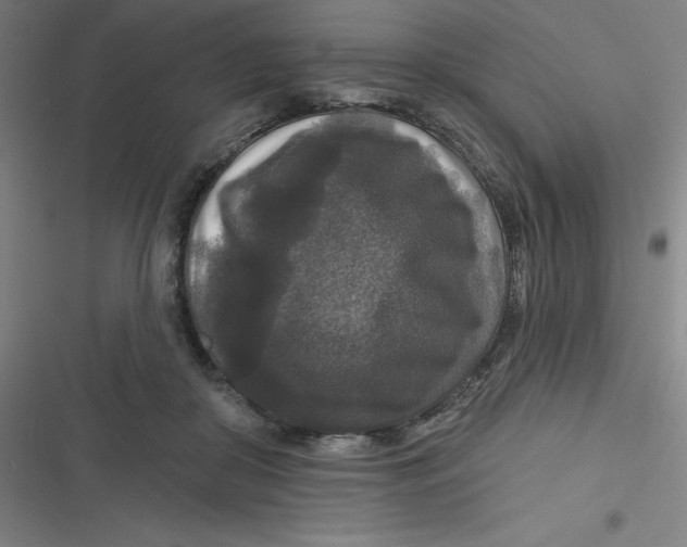 X0000116790410201001081318