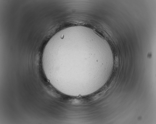 X0000116790412201001081317