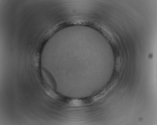 X0000116790413201001081317