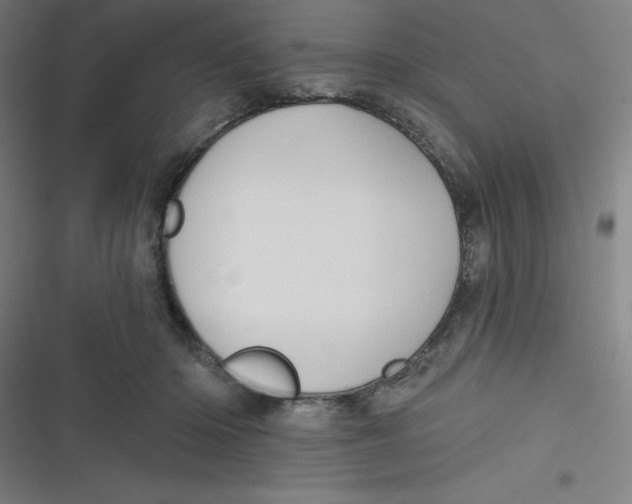 X0000116790414201001081317