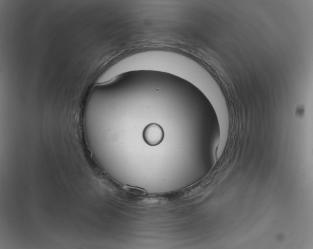 X0000116790415201001081317