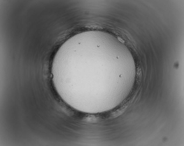 X0000116790416201001081317