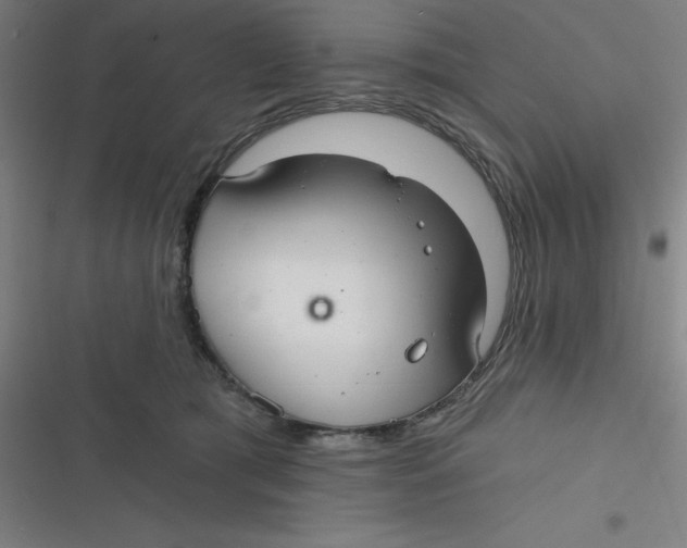 X0000116790417201001081317