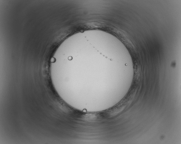 X0000116790418201001081317