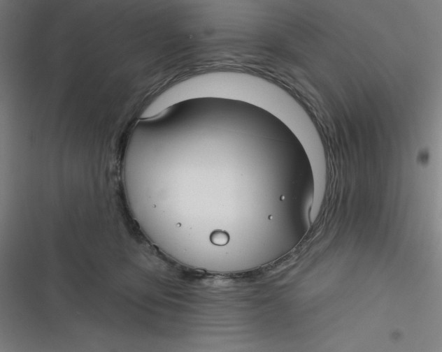 X0000116790419201001081317