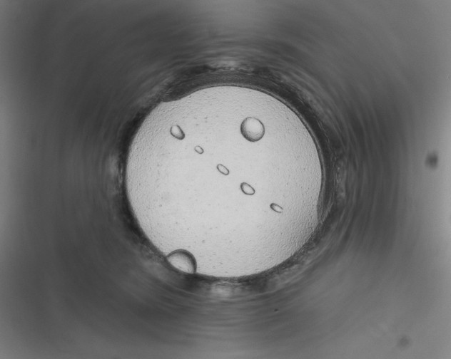 X0000116790420201001081317