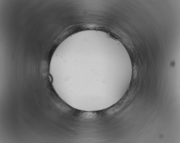 X0000116790421201001081317