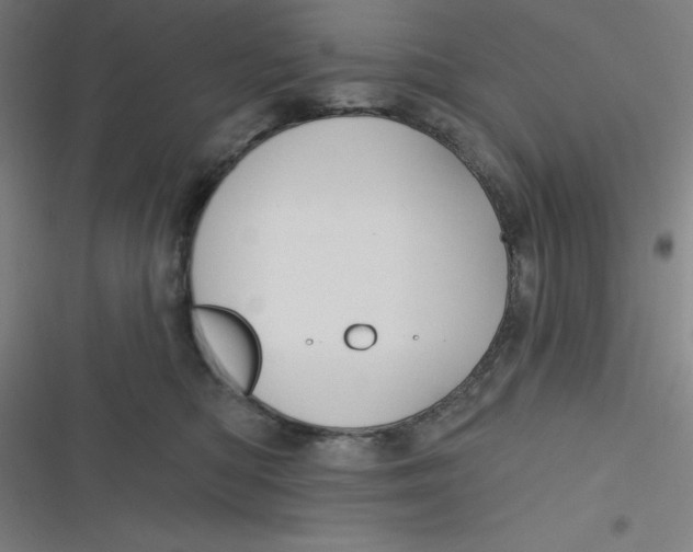 X0000116790422201001081317