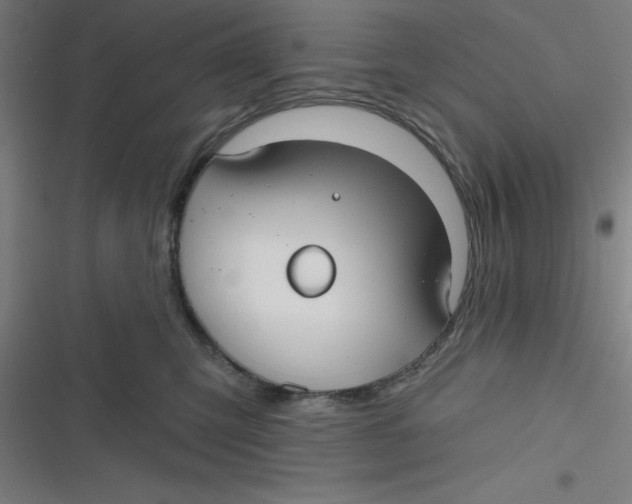 X0000116790423201001081317