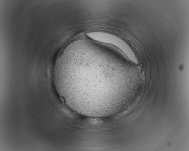 X0000116790424201001081317