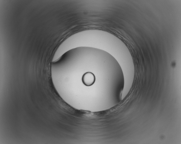 X0000116790425201001081317