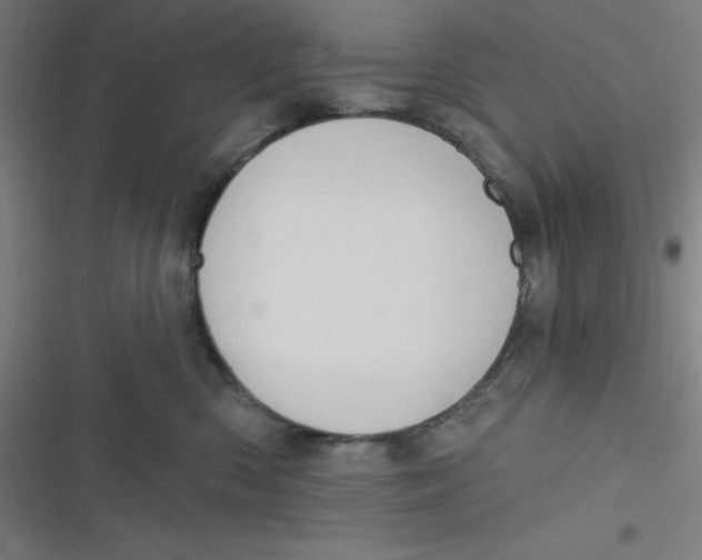 X0000116790426201001081317