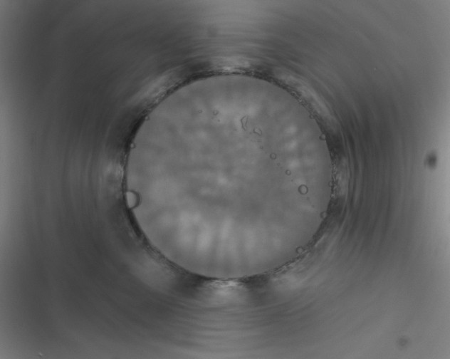 X0000116790427201001081317