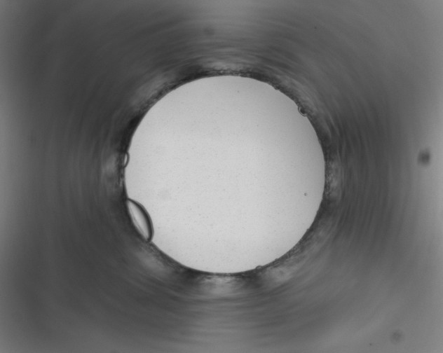 X0000116790428201001081317