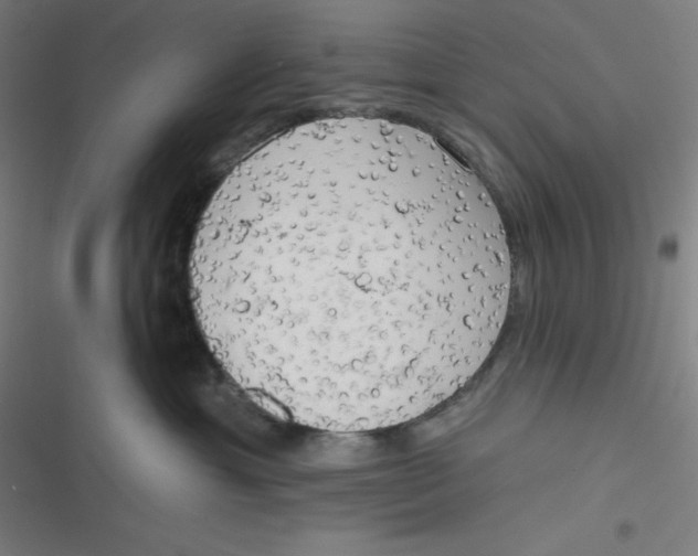 X0000116790429201001081317