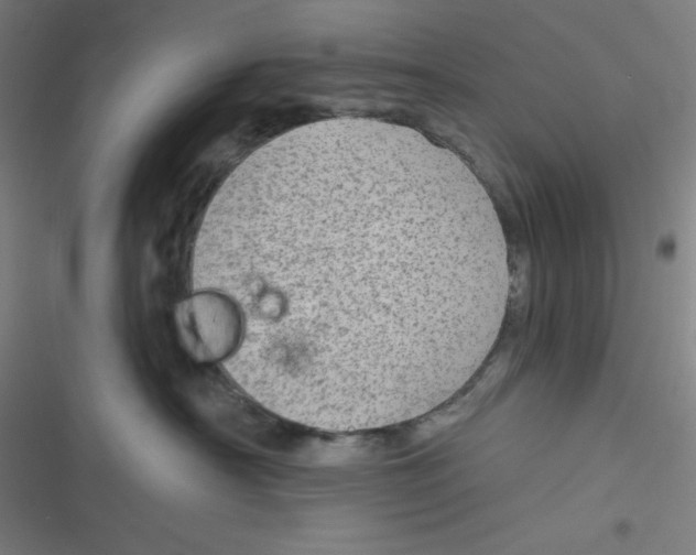 X0000116790430201001081317