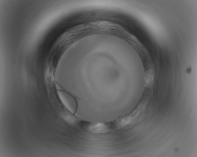 X0000116790431201001081317