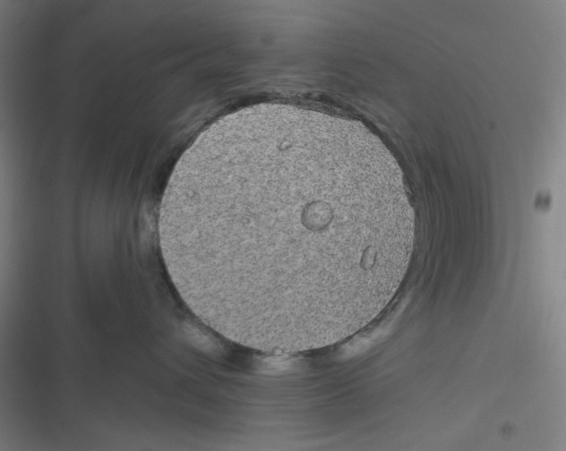 X0000116790432201001081317