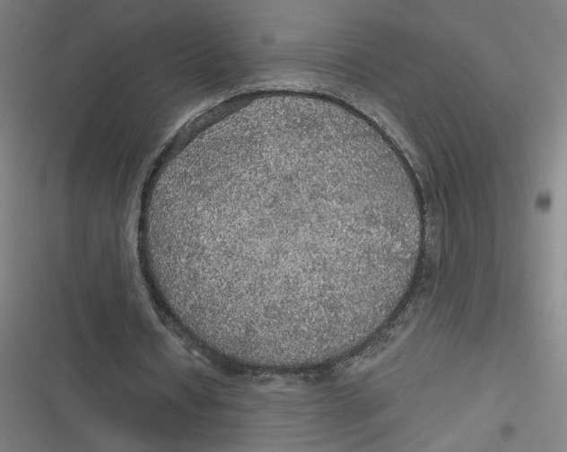 X0000116790434201001081317