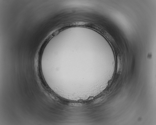 X0000116790435201001081317