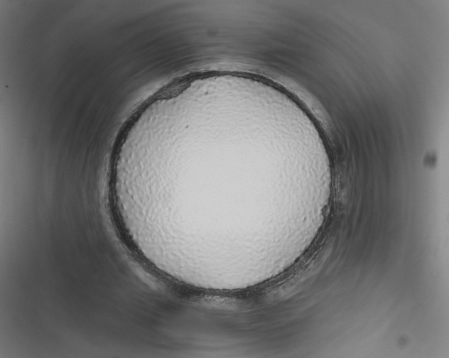 X0000116790437201001081317