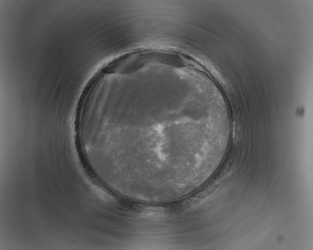 X0000116790438201001081317