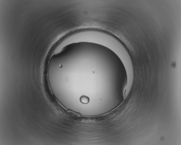 X0000116790440201001081317