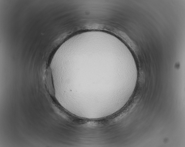 X0000116790441201001081317