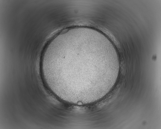 X0000116790442201001081317