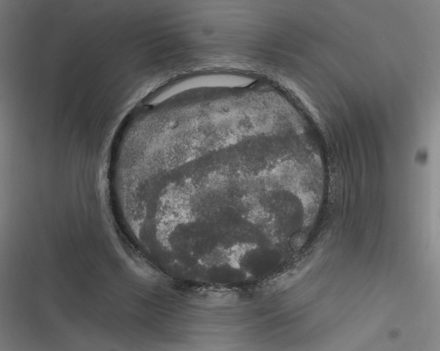 X0000116790443201001081317